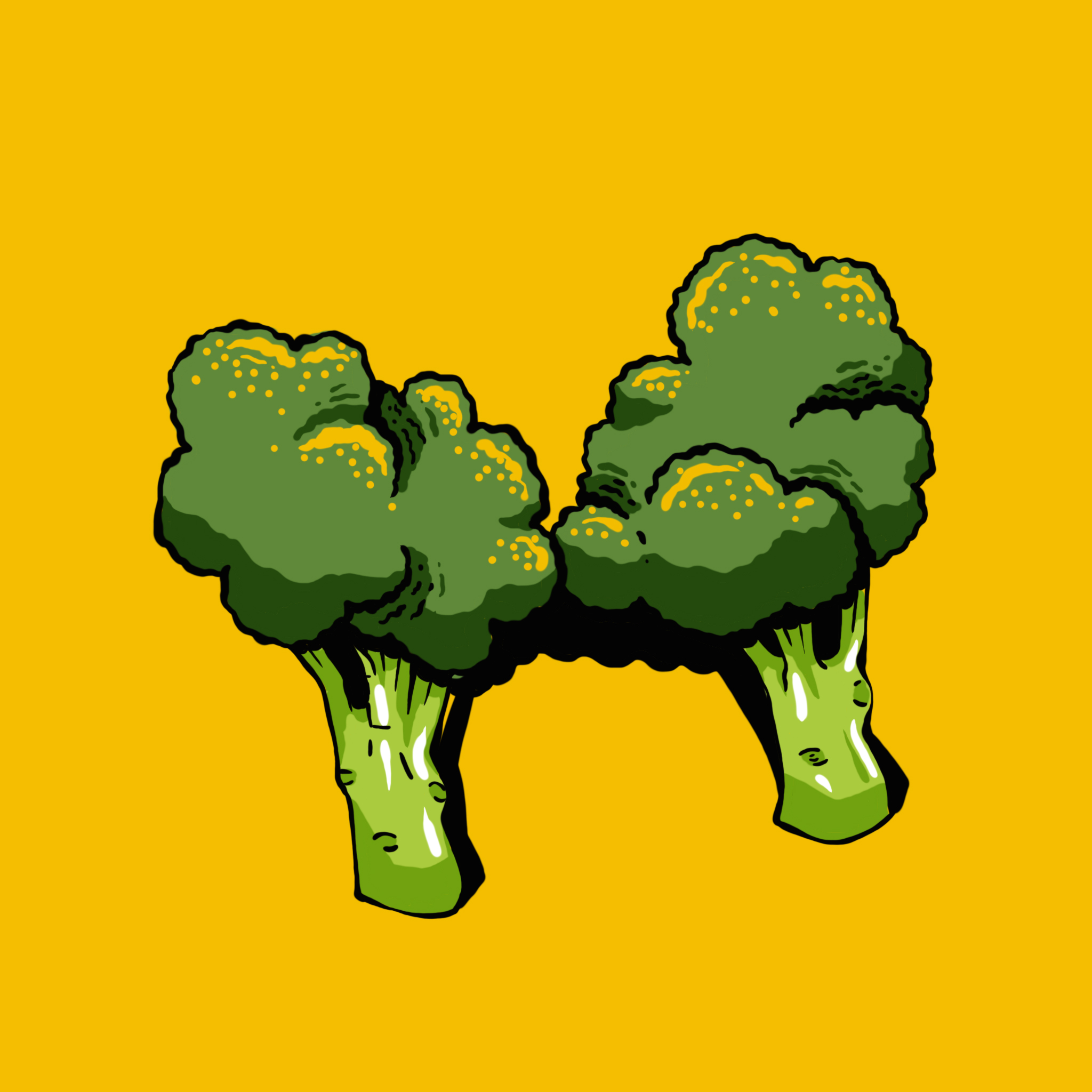 13-brócolis
